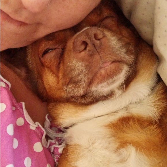 Thank you for stopping by My Closet 🫶 - Picture 12 of 16